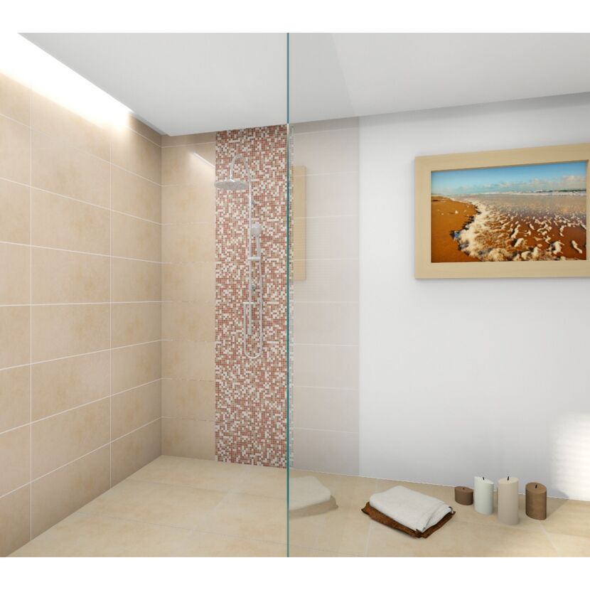 Badezimmer mit beiger Dusche und Strandbild