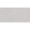 Wandfliese 'Seal' grau 30 x 60 cm