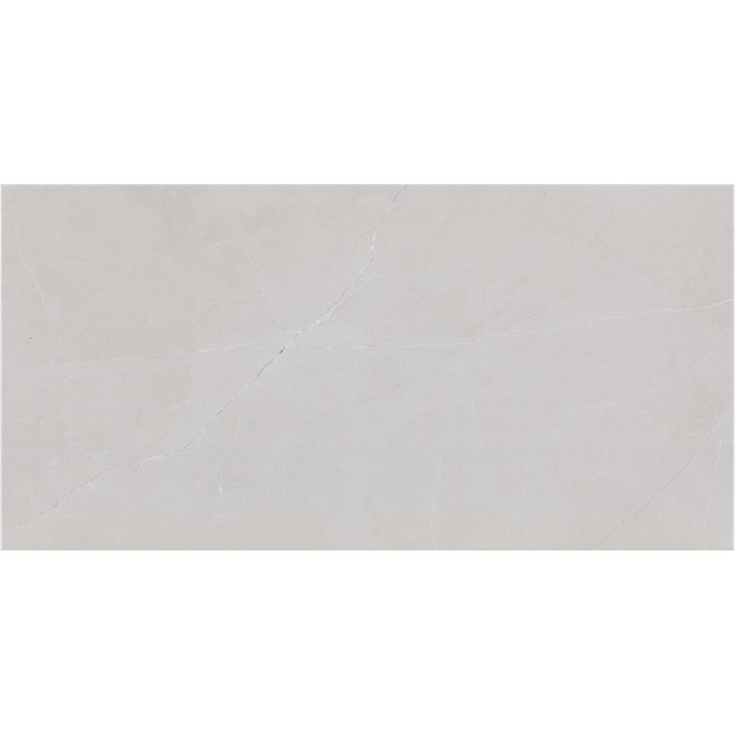 Wandfliese 'Seal' grau 30 x 60 cm