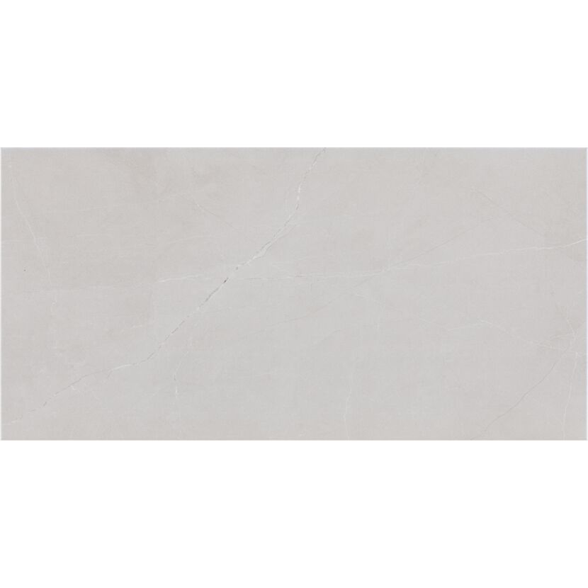 Wandfliese 'Seal' grau 30 x 60 cm