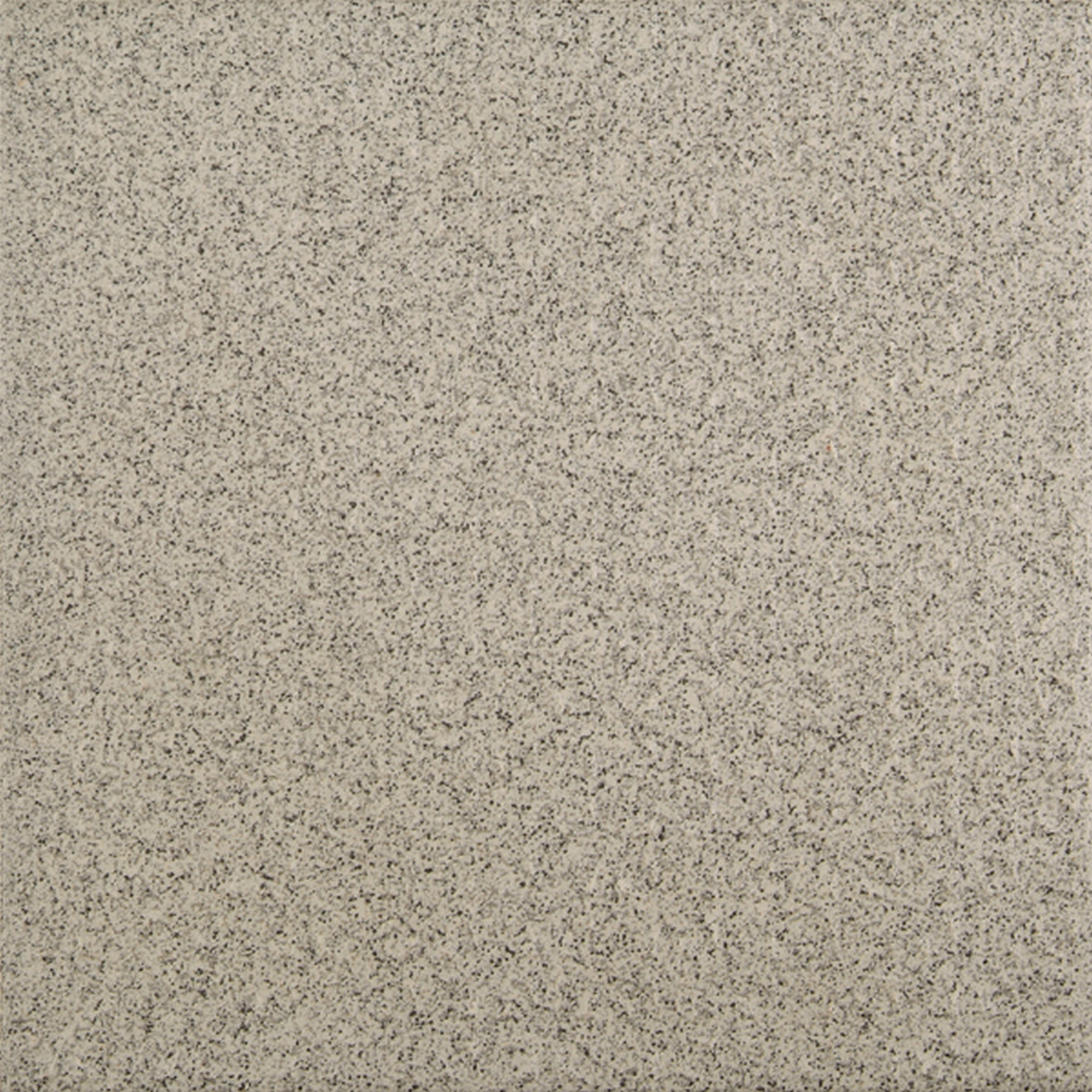 Bodenfliese 'Dotti' Feinsteinzeug grau 20 x 20 cm