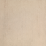 Bodenfliese 'Evolution' Feinsteinzeug beige 61 x 61 cm