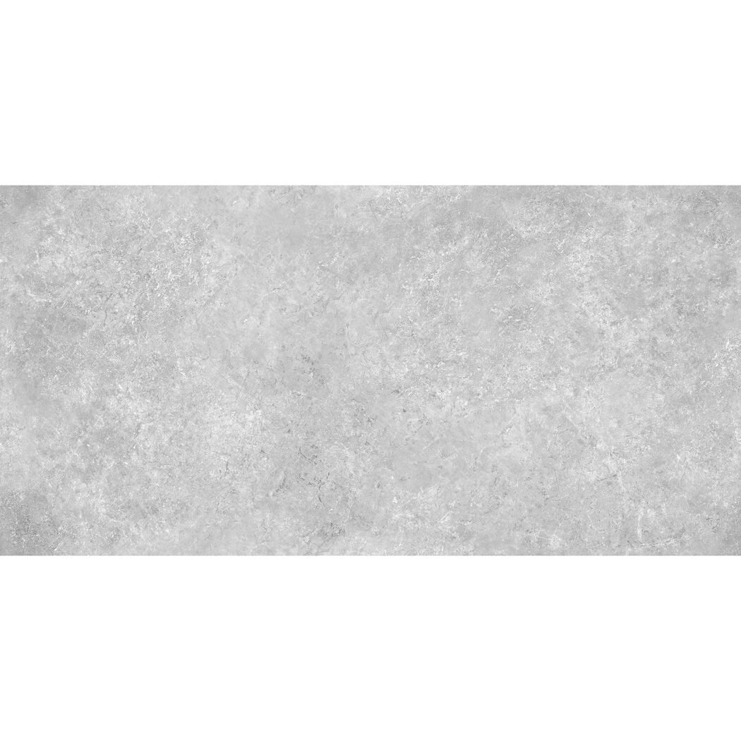 Bodenfliese 'Huston' Feinsteinzeug grau 30 x 60 cm