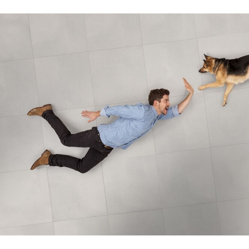 Person gibt von oben liegend einem Hund Pfote