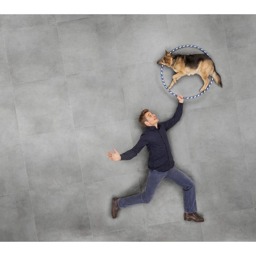 Person hält Reifen für einen Hund