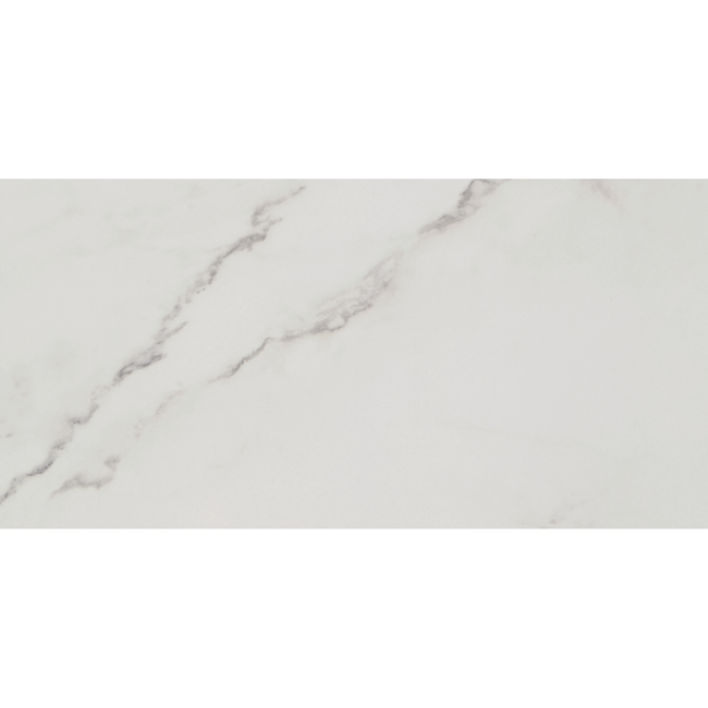 Bild von Bodenfliese 'Fontana' Feinsteinzeug weiß glänzend 30 x 60 cm