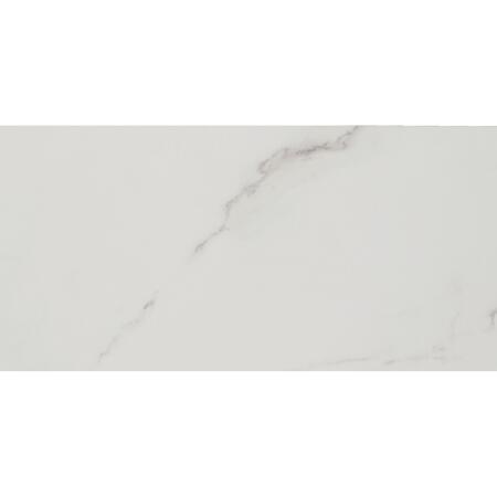 6. Bild von Bodenfliese 'Fontana' Feinsteinzeug weiß glänzend 30 x 60 cm