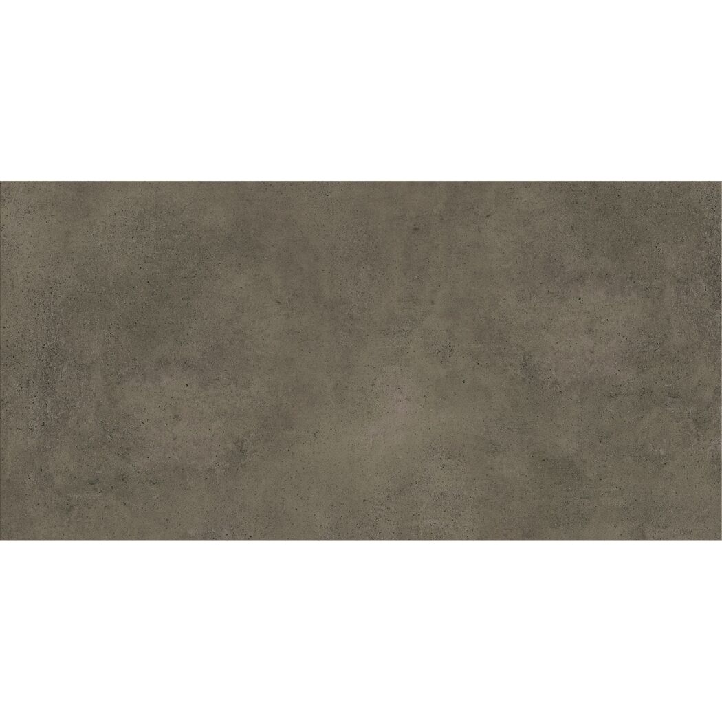 Bodenfliese 'Togo' Feinsteinzeug taupe 29,8 x 59,8 x 0,8 cm