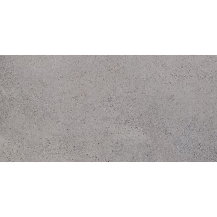 Muster zu Bodenfliese 'Lims' grau 60 x 120 x 0,92 cm