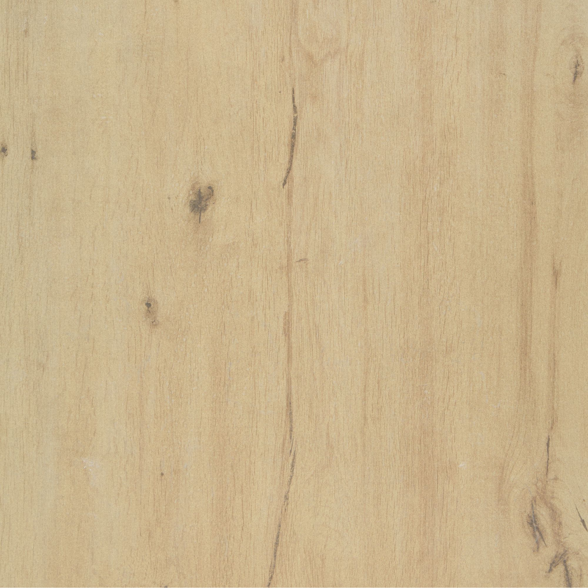 Terrassenplatte 'Wood' Feinsteinzeug beige 60 x 60 x 2 cm