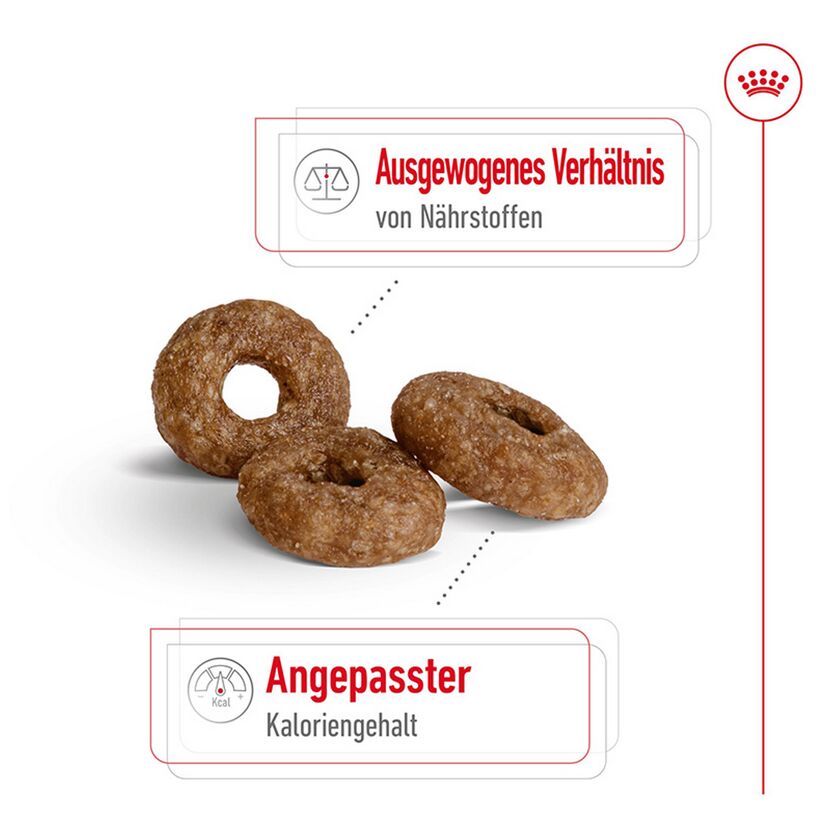 Hundetrockenfutter 'Mini Ageing 12+' 3.5 kg