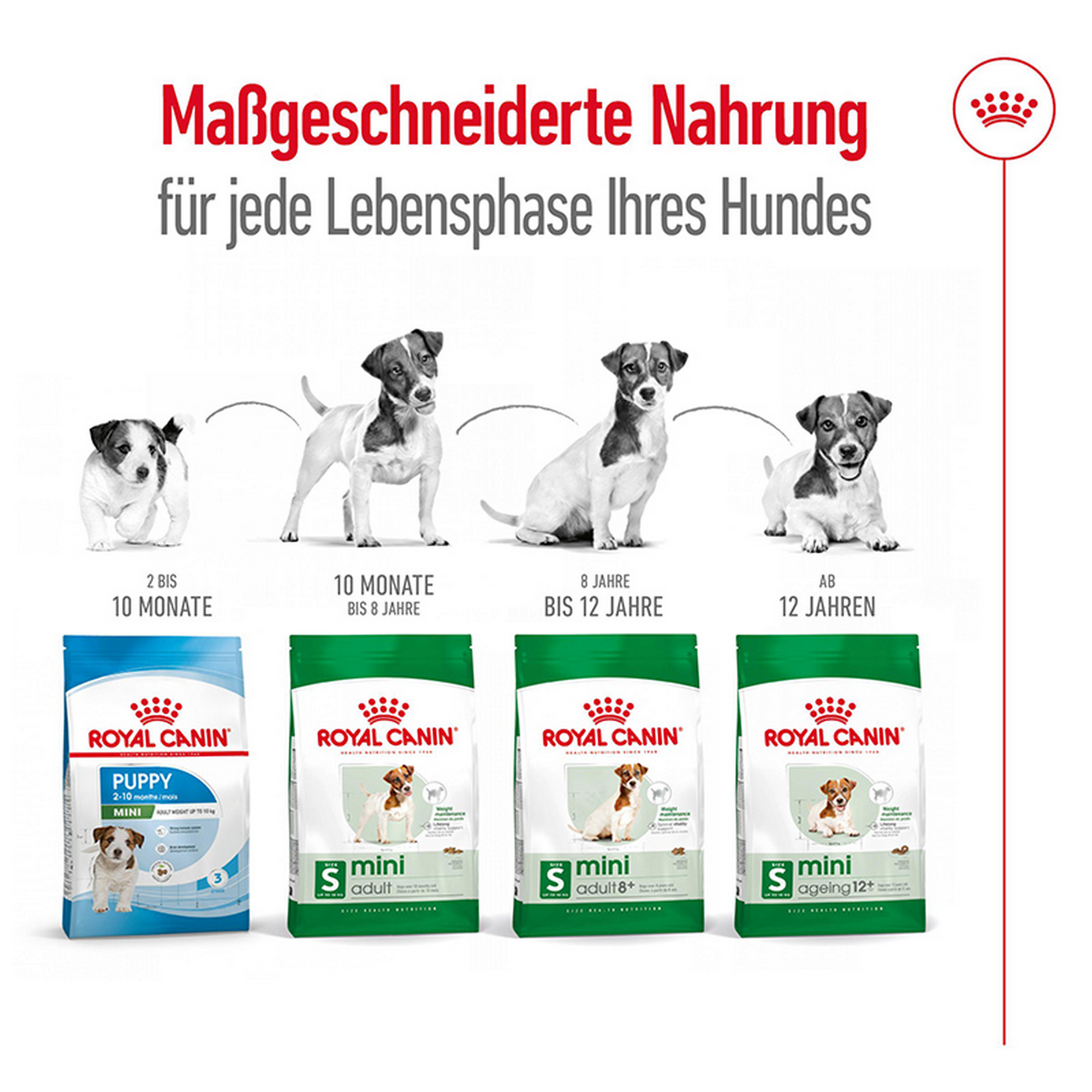 Hundetrockenfutter 'Mini Ageing 12+' 3.5 kg