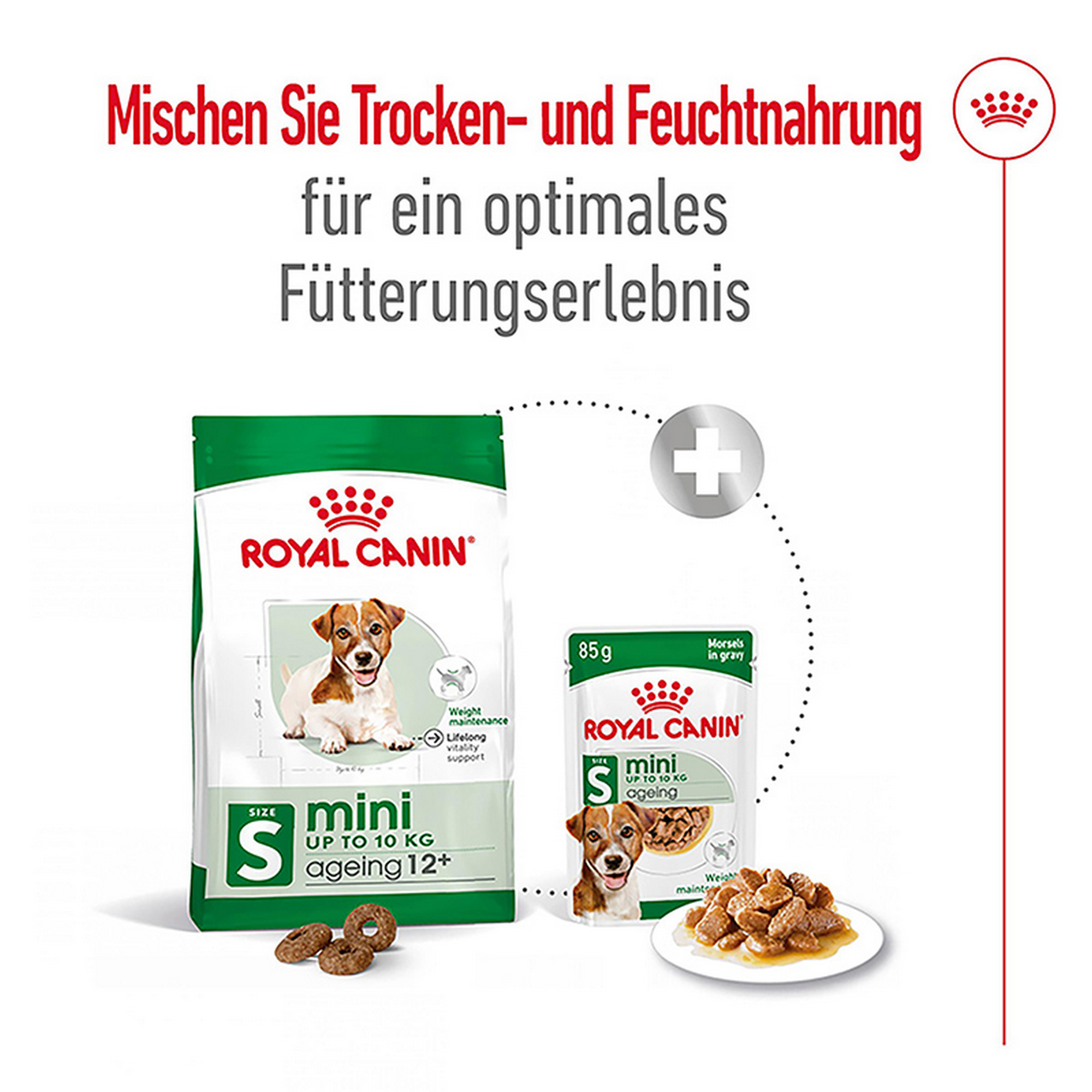 Hundetrockenfutter 'Mini Ageing 12+' 3.5 kg