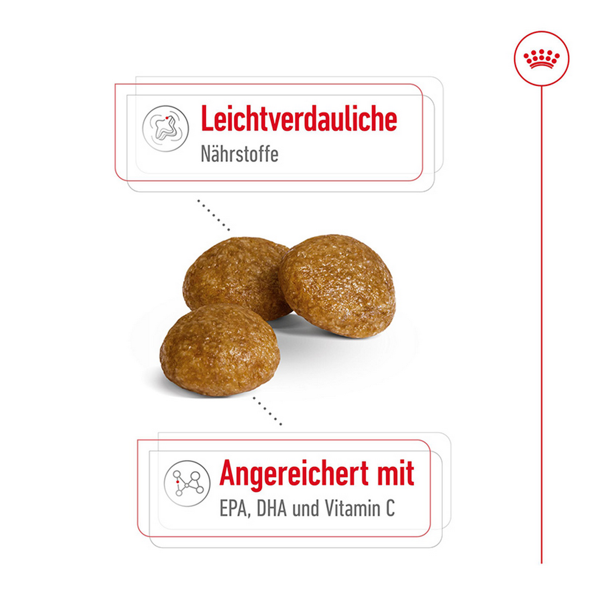 Hundetrockenfutter 'X-Small Adult' 3 kg