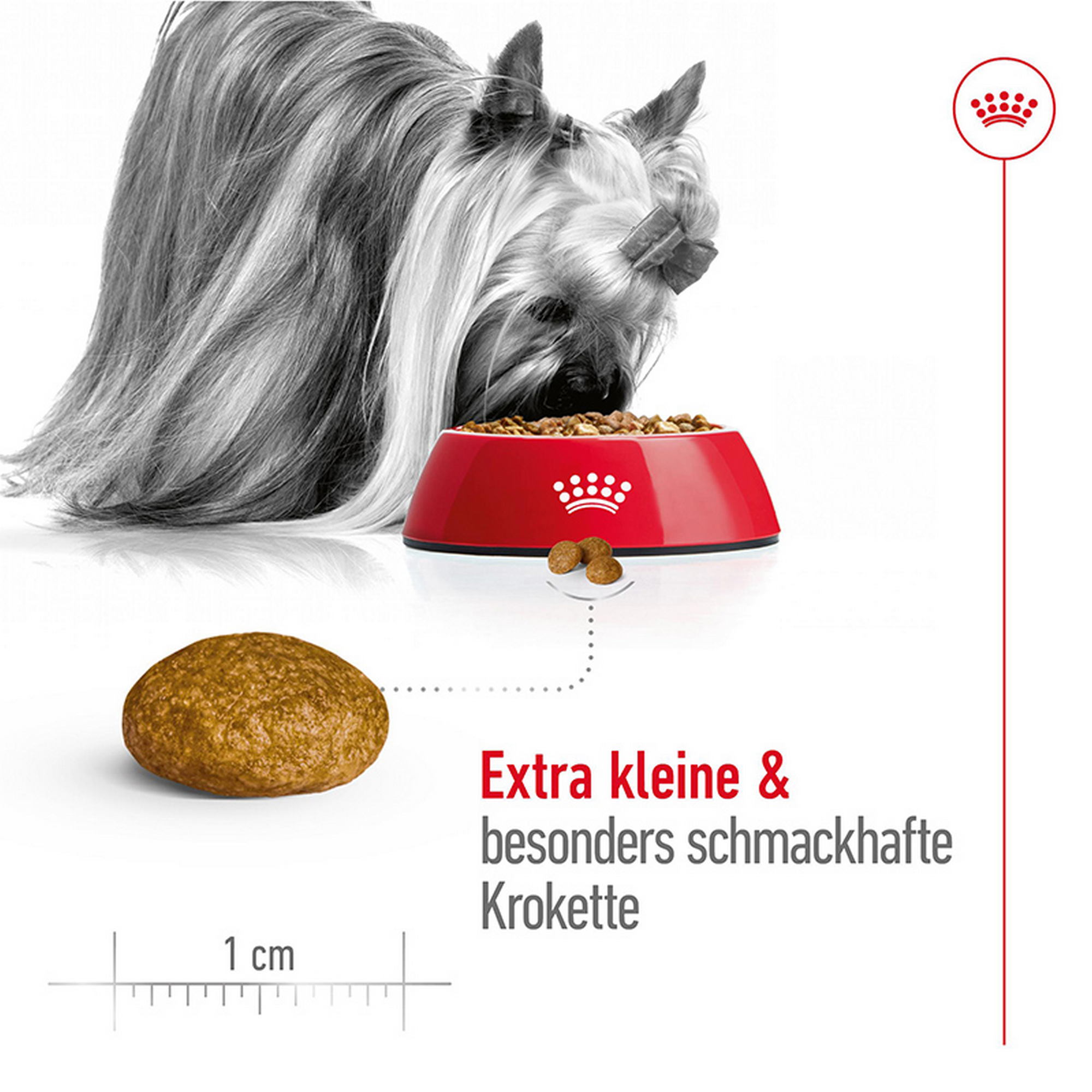 Hundetrockenfutter 'X-Small Adult' 3 kg