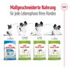 Hundetrockenfutter 'X-Small Adult' 3 kg