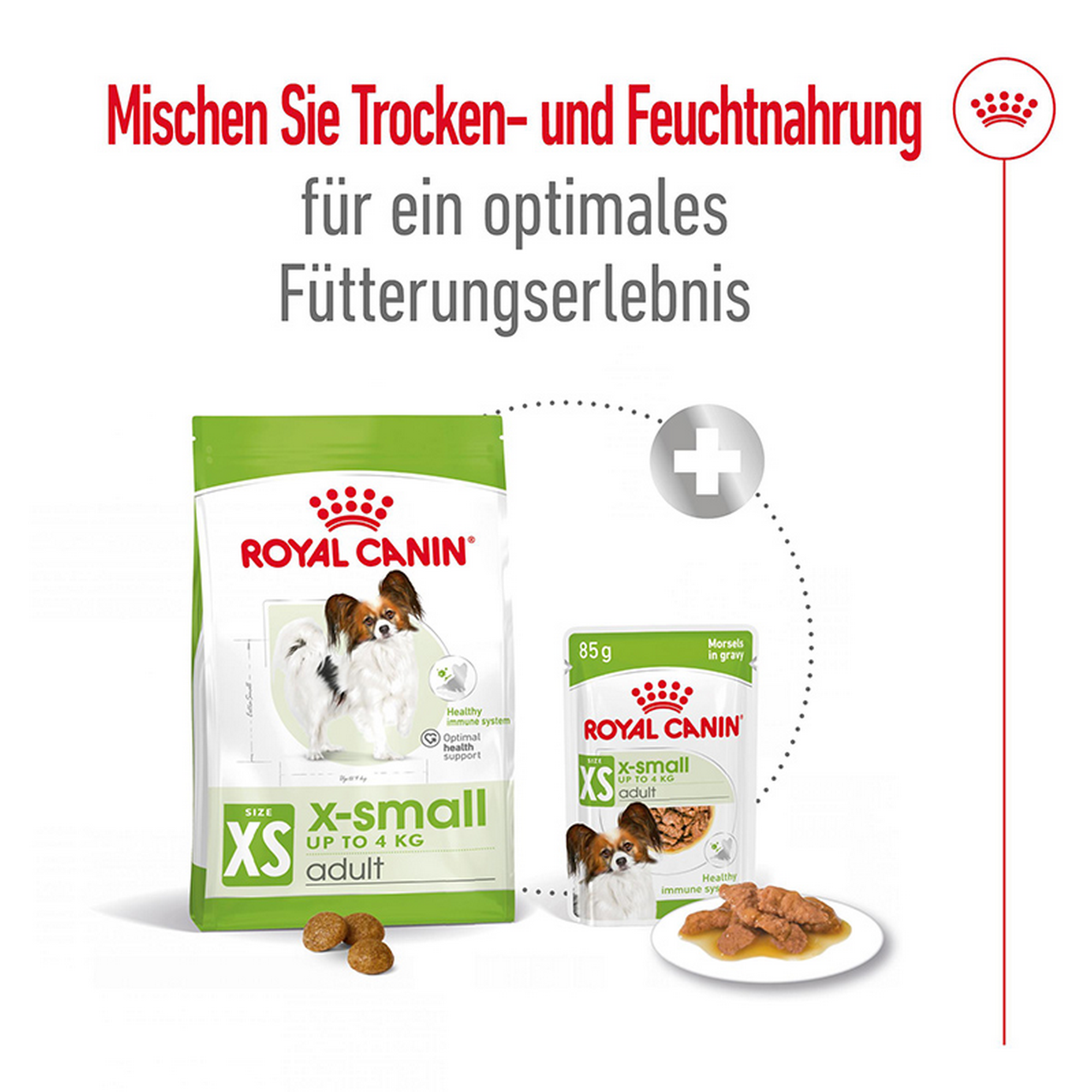 Hundetrockenfutter 'X-Small Adult' 3 kg
