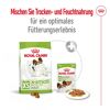 Hundetrockenfutter 'X-Small Adult' 3 kg