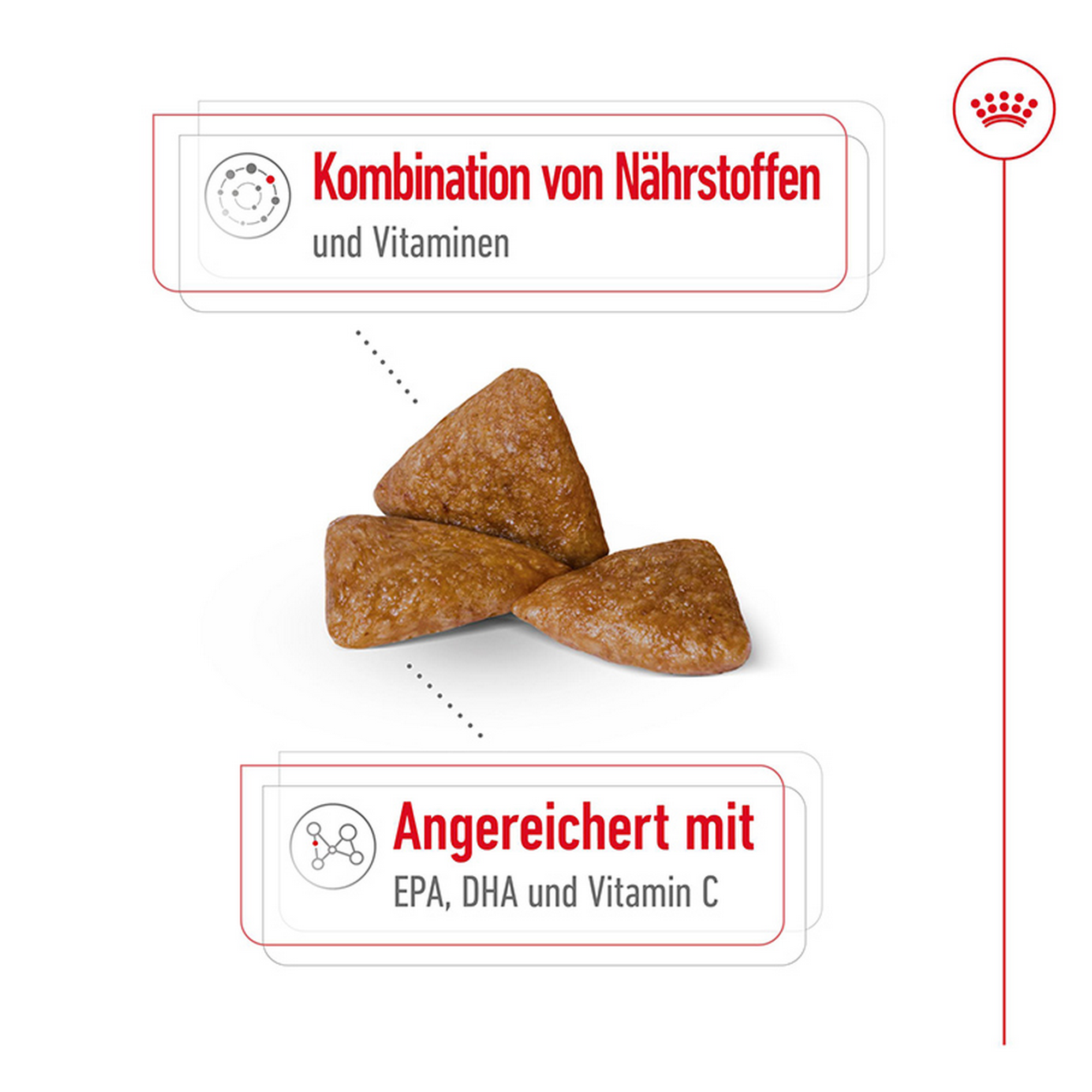 Hundetrockenfutter 'X-Small Ageing 12+' 1.5 kg