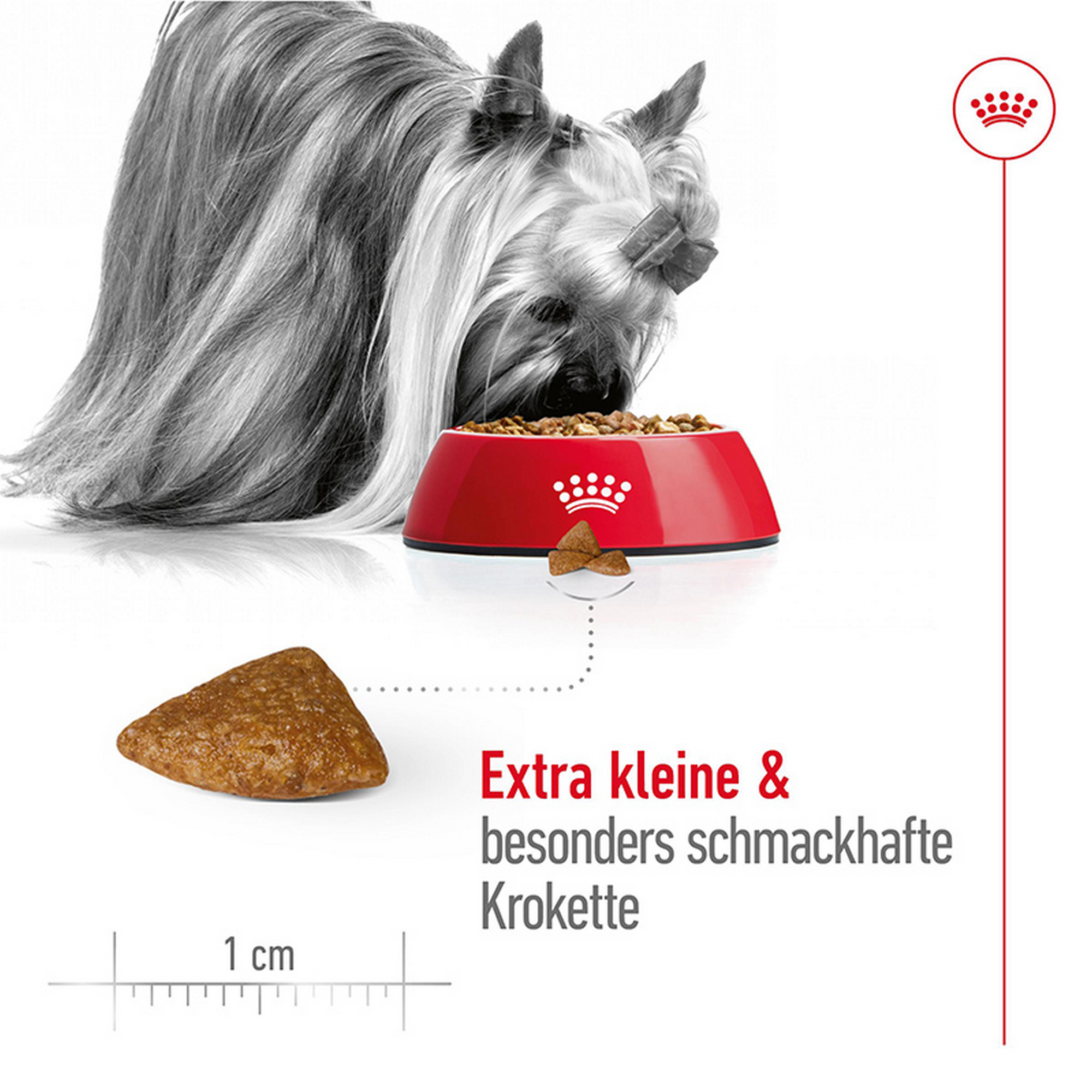 Hundetrockenfutter 'X-Small Ageing 12+' 1.5 kg