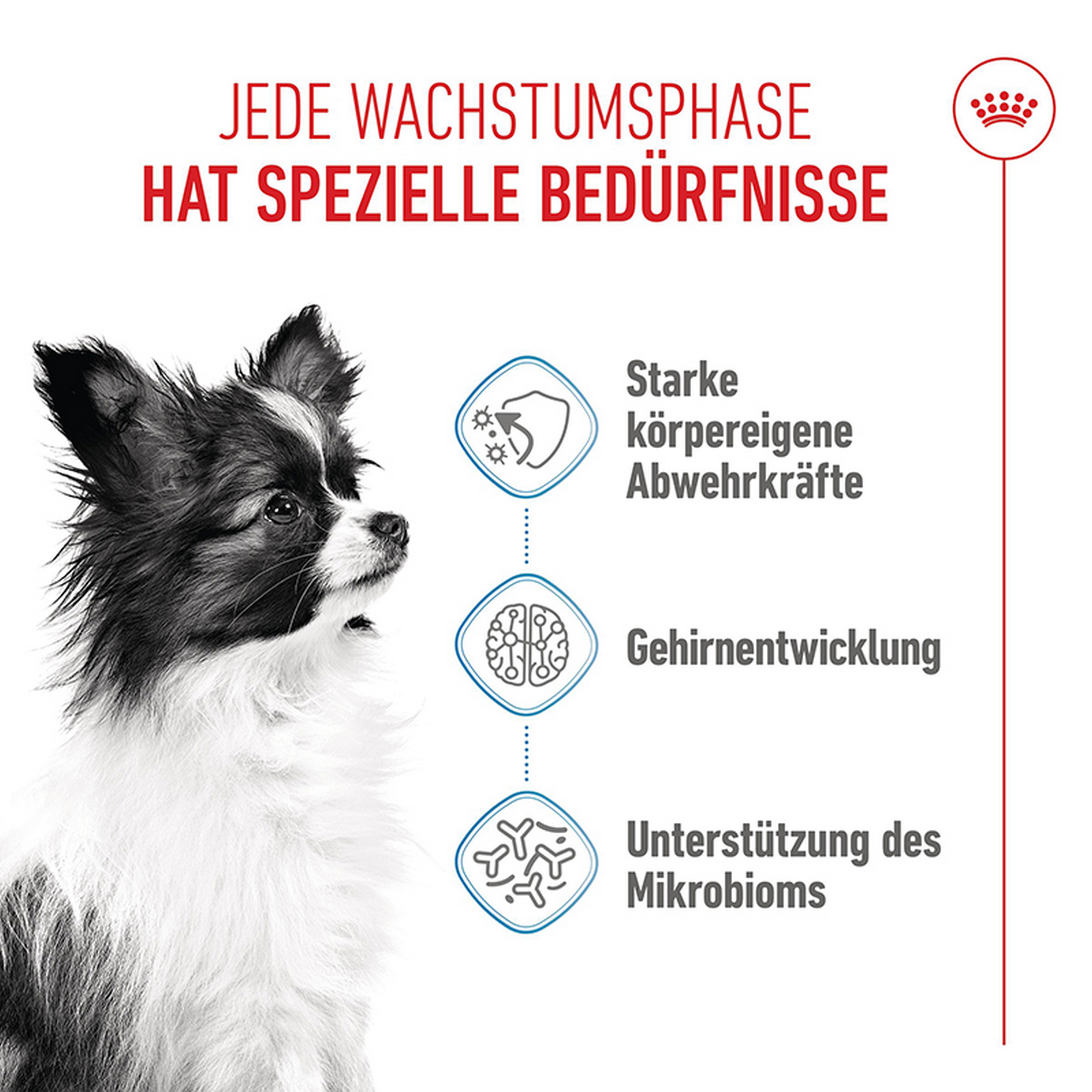 Hundetrockenfutter 'X-Small Junior' 3 kg