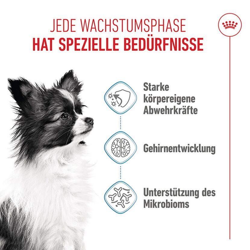 Hundetrockenfutter 'X-Small Junior' 3 kg
