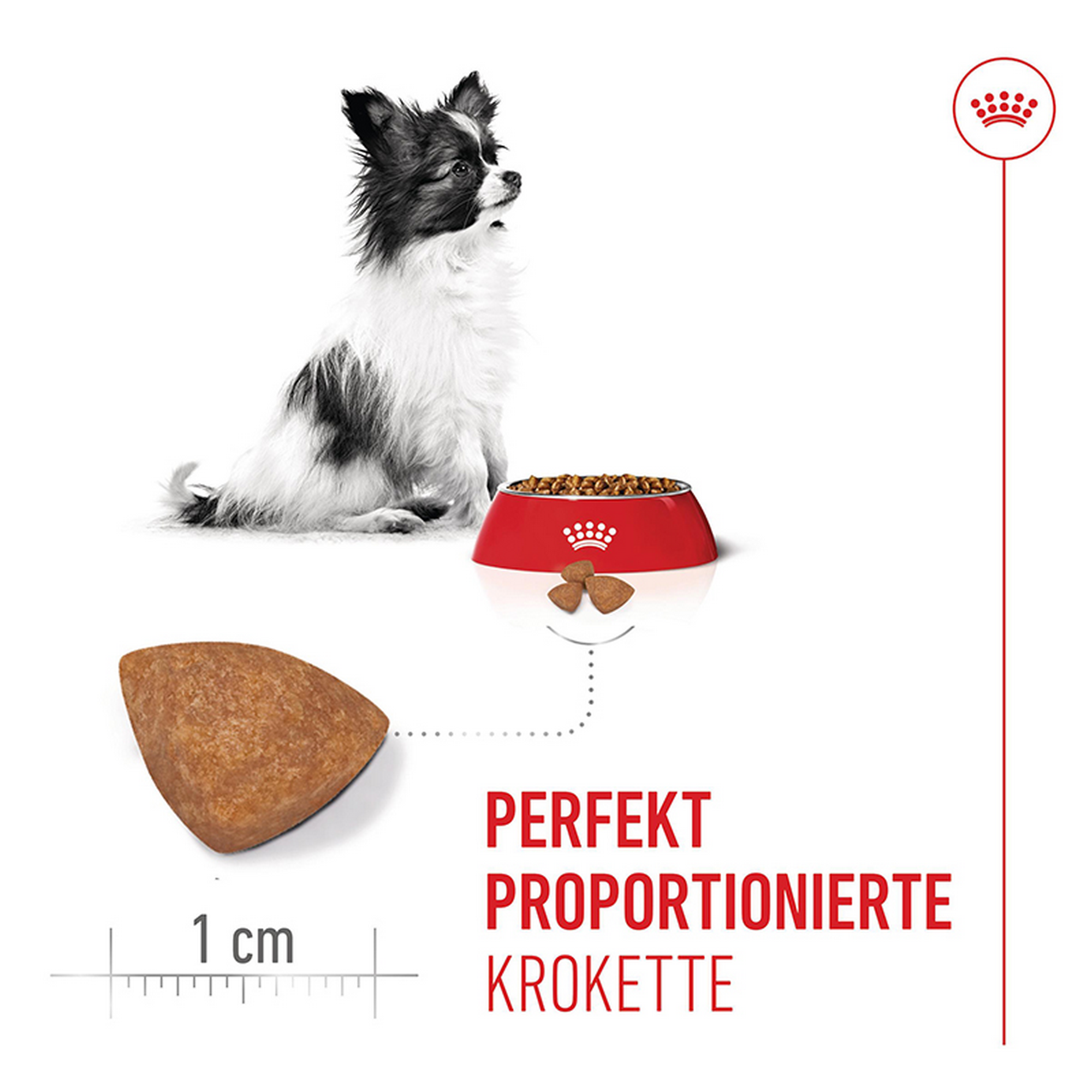 Hundetrockenfutter 'X-Small Junior' 3 kg