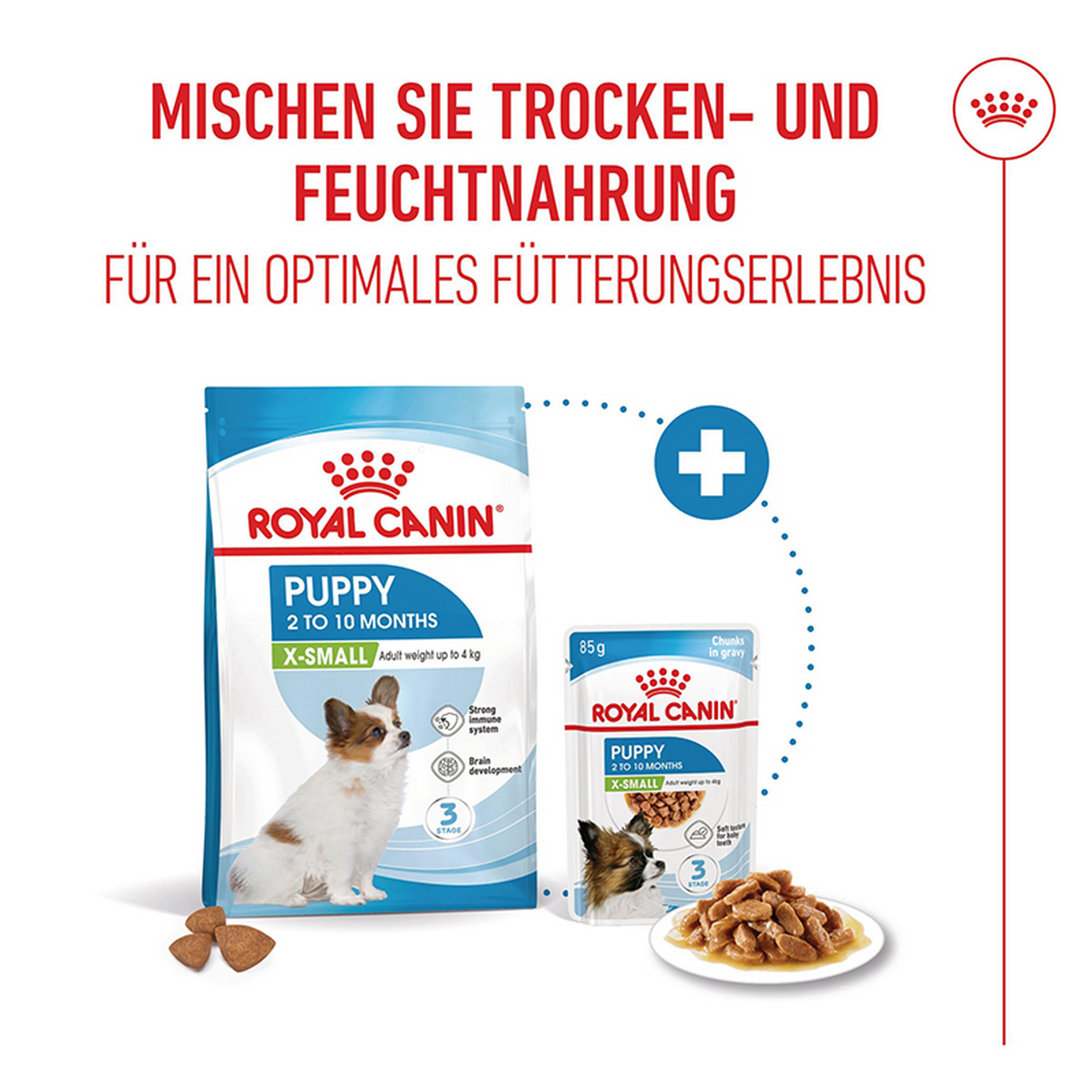 Hundetrockenfutter 'X-Small Junior' 3 kg