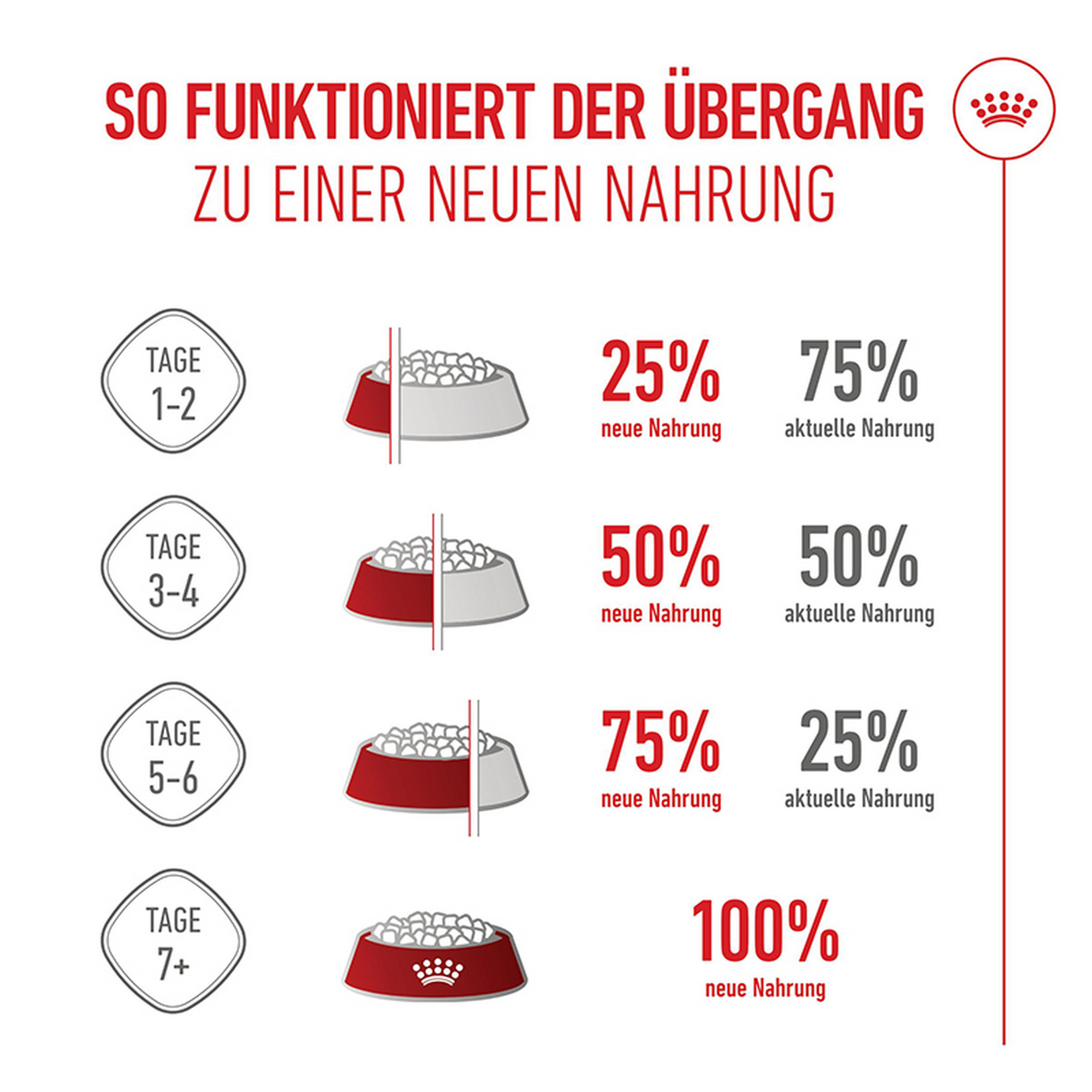 Hundetrockenfutter 'X-Small Junior' 3 kg