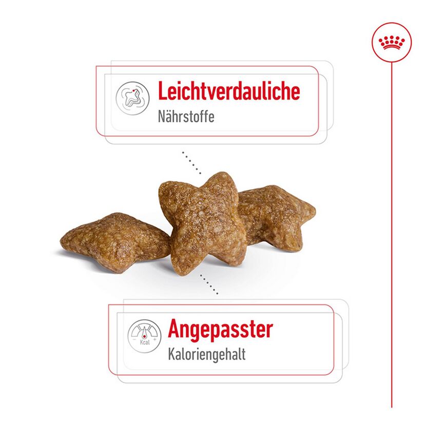 Hundetrockenfutter 'Mini Adult 8+' 2 kg