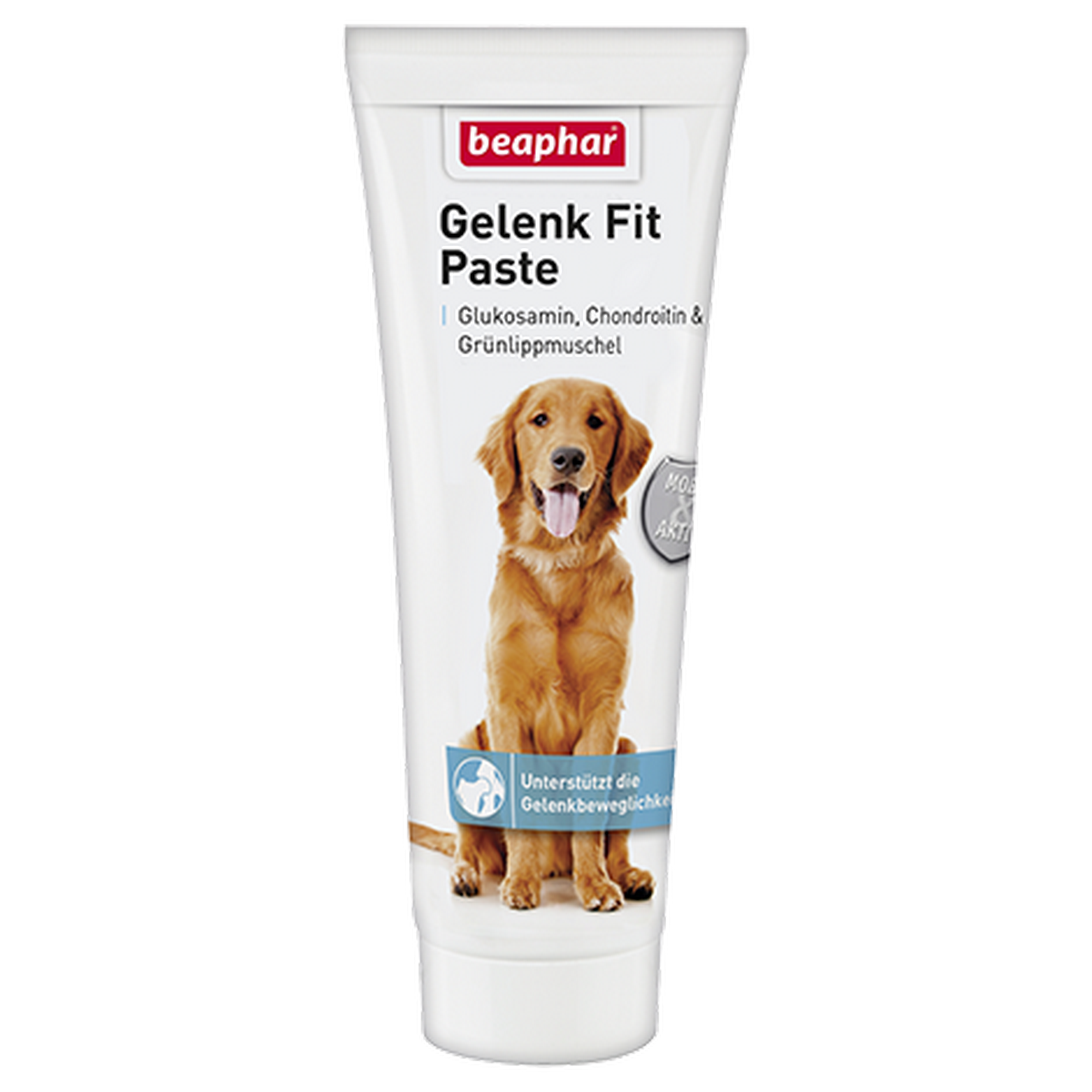 Gelenk Fit Paste 250 g + product picture