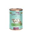 hauptbild