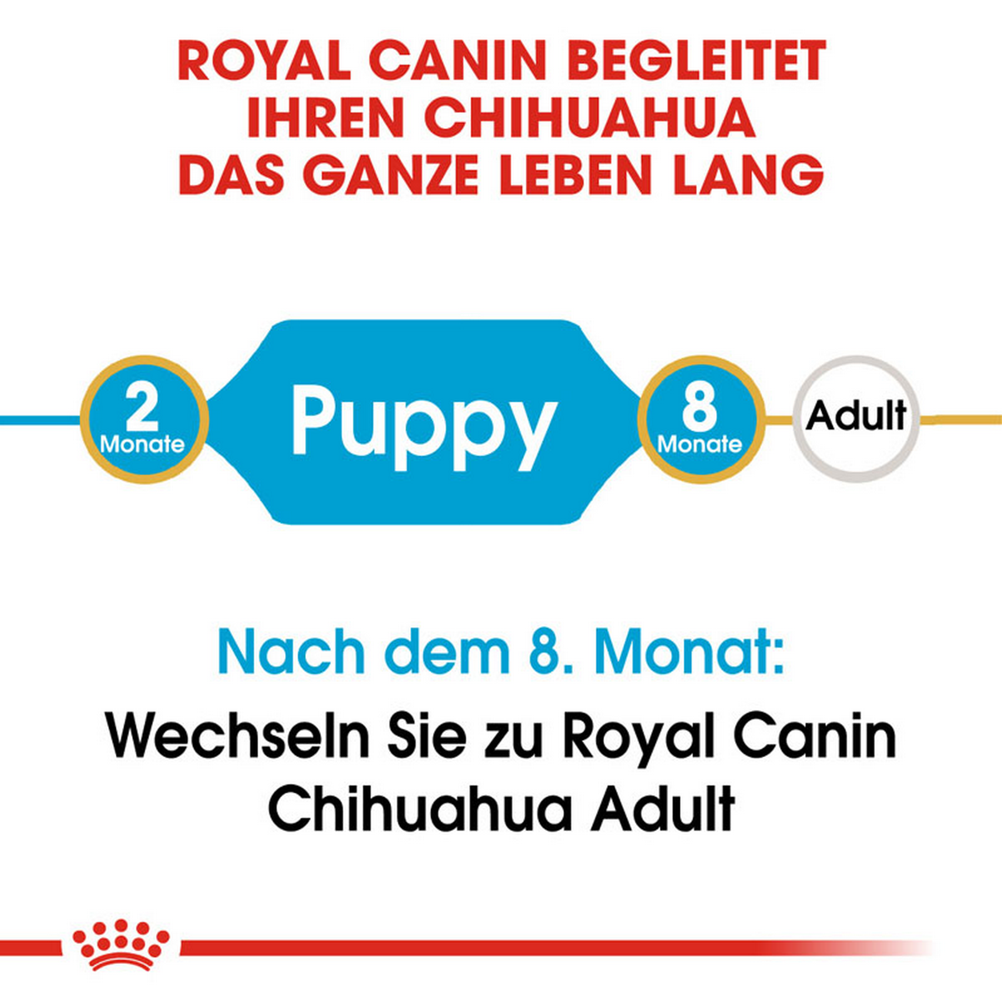 Hundetrockenfutter 'Chihuahua Junior' 1.5 kg