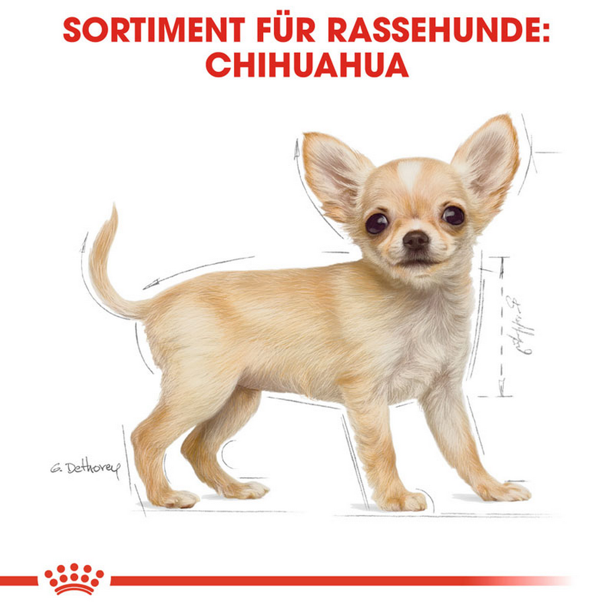 Hundetrockenfutter 'Chihuahua Junior' 1.5 kg