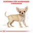 Hundetrockenfutter 'Chihuahua Junior' 1.5 kg