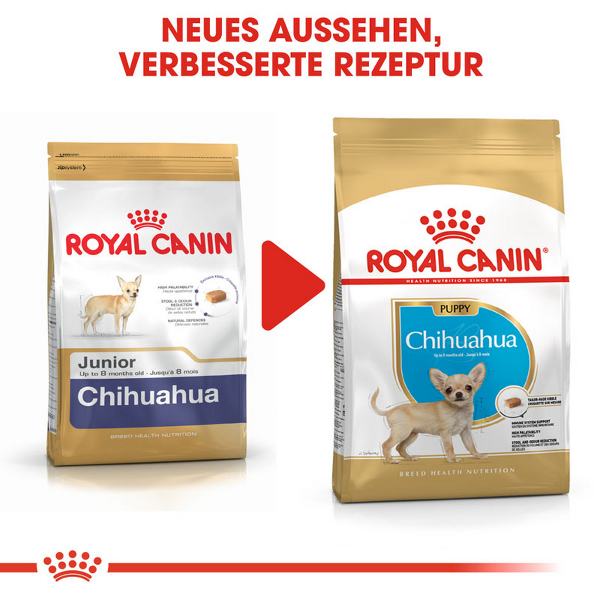 Hundetrockenfutter 'Chihuahua Junior' 1.5 kg