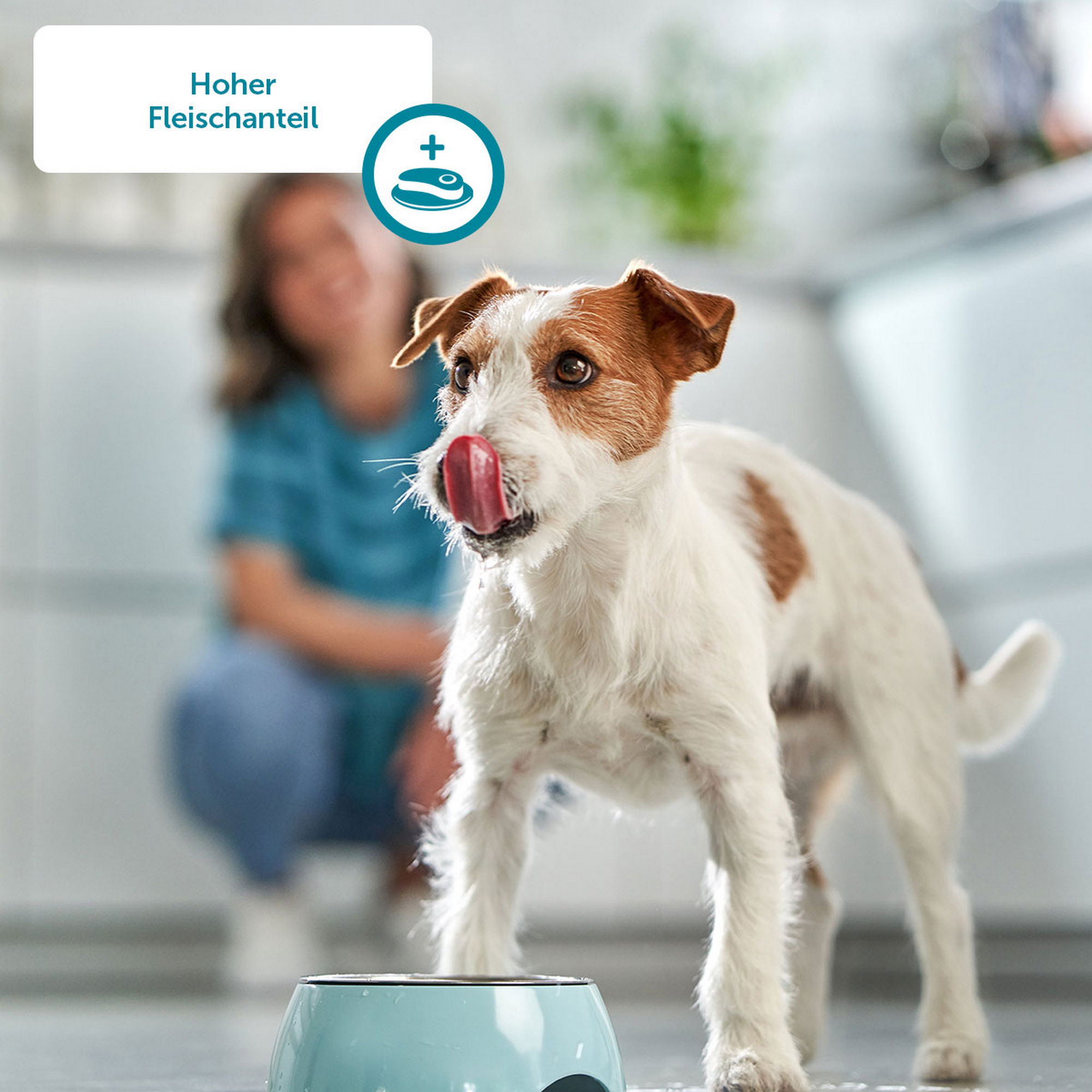 Hunde-Nassfutter mit Hühnerherzen 400 g