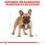 Hundetrockenfutter 'French Bulldog Adult ' 9 kg
