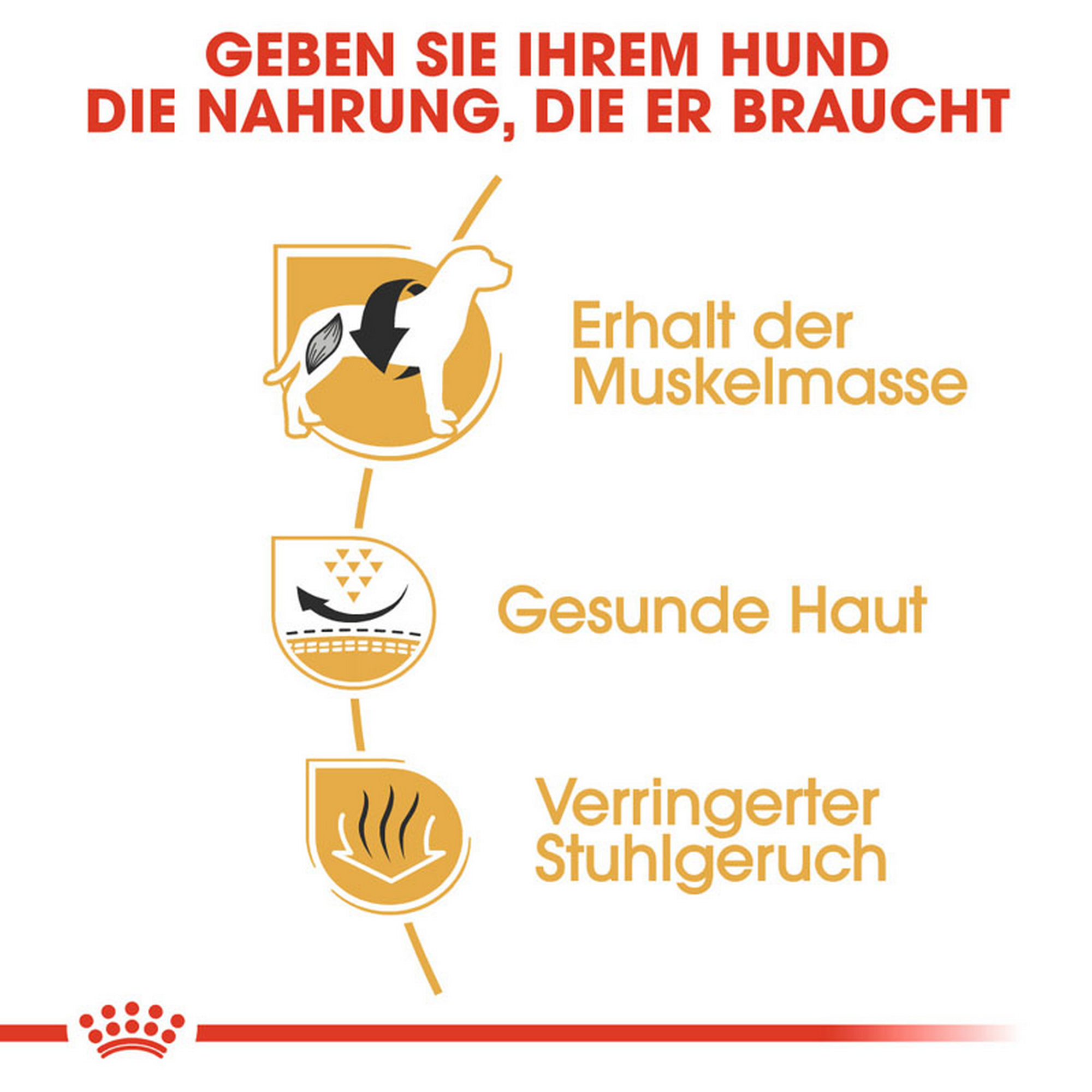 Hundetrockenfutter 'French Bulldog Adult ' 9 kg