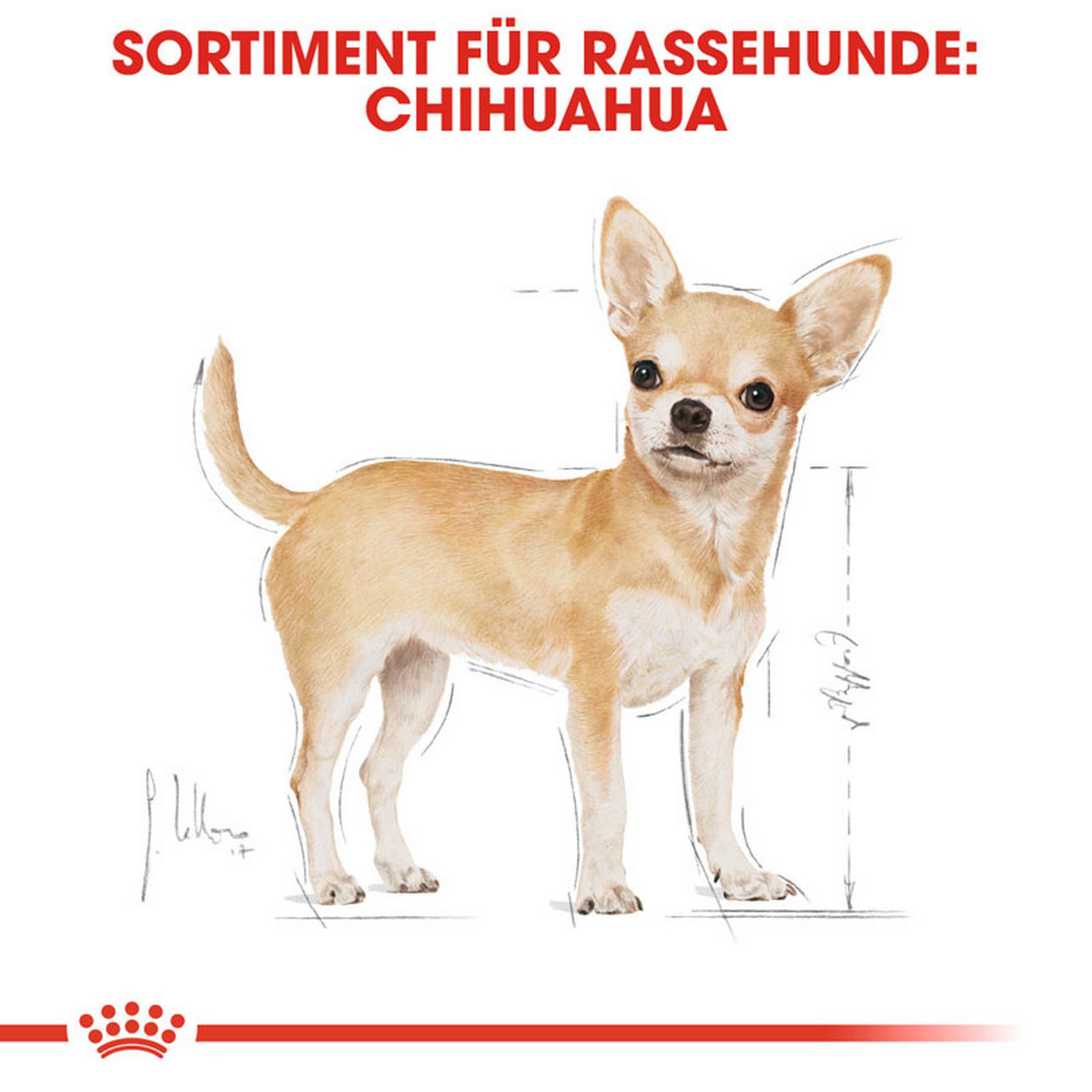 Hundetrockenfutter 'Chihuahua Adult ' 3 kg