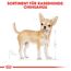 Hundetrockenfutter 'Chihuahua Adult ' 3 kg