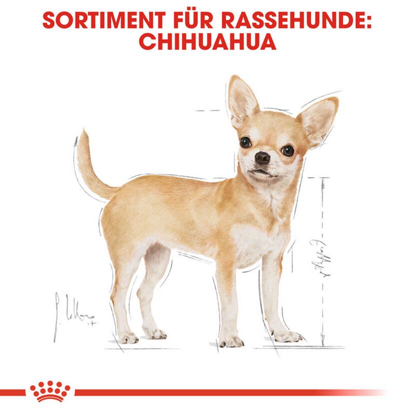 Hundetrockenfutter 'Chihuahua Adult ' 3 kg