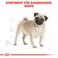 Hundetrockenfutter 'Pug Adult ' 3 kg