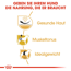 Hundetrockenfutter 'Pug Adult ' 3 kg