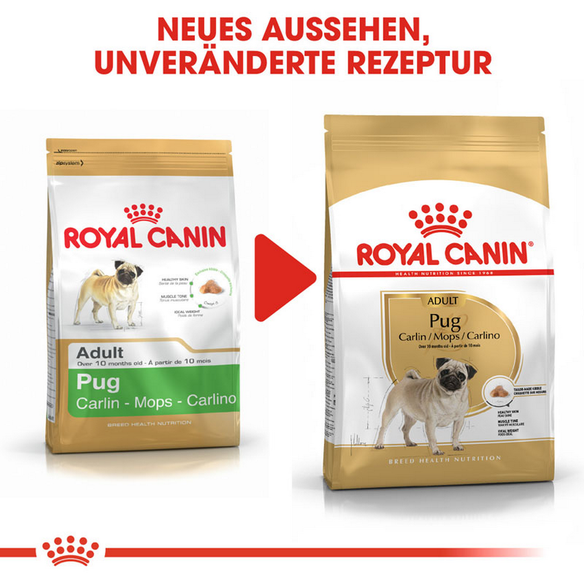 Hundetrockenfutter 'Pug Adult ' 3 kg