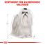 Hundetrockenfutter 'Maltese Adult' 1,5 kg