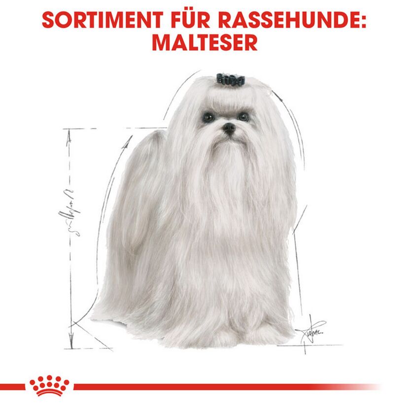 Hundetrockenfutter 'Maltese Adult' 1,5 kg