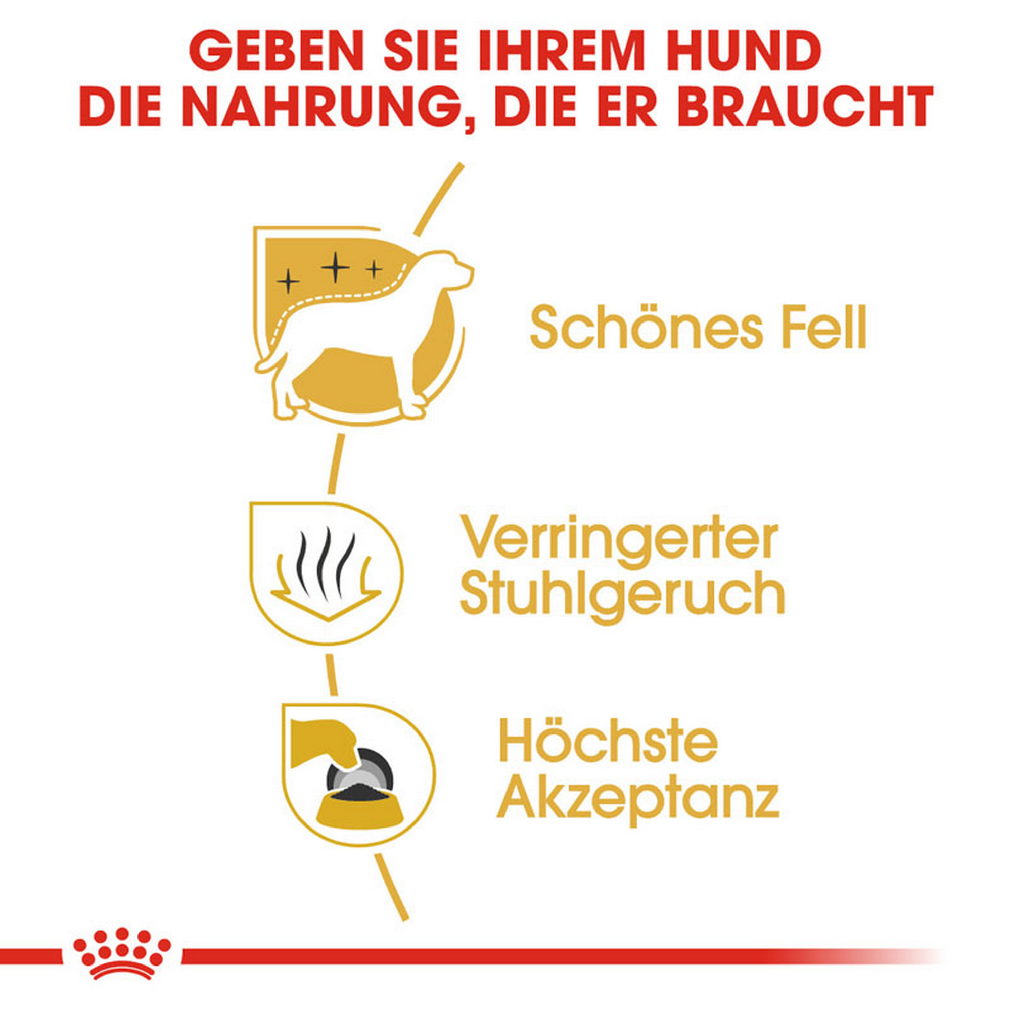 Hundetrockenfutter 'Maltese Adult' 1,5 kg