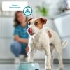 Kauknoten für Hunde 7 Stück