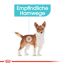 Hundetrockenfutter 'Urinary Care Adult' 3 kg